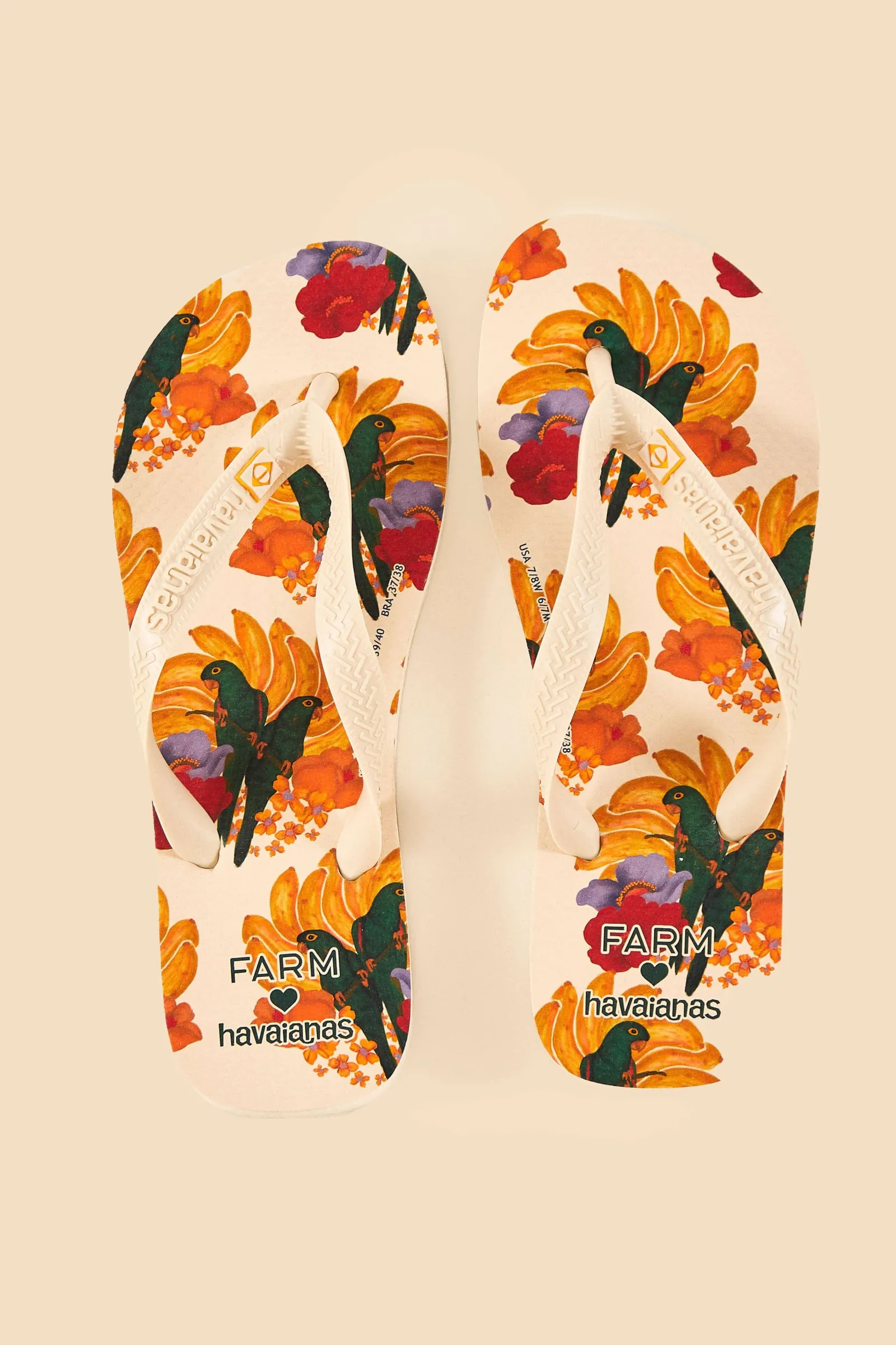 BANANA NEST HAVAIANAS SANDALS