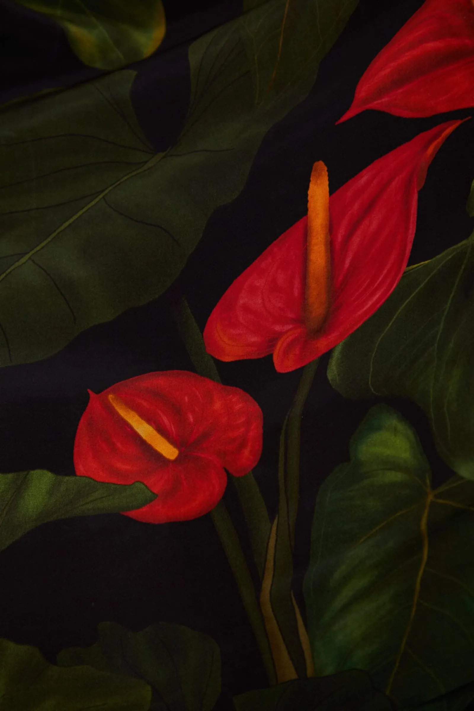 BLACK ANTHURIUM V NECK MAXI DRESS